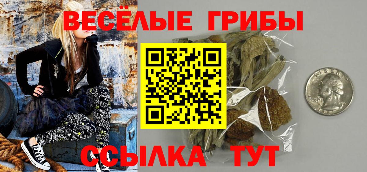 Галлюциногенные грибы MAGIC MUSHROOMS Тольятти