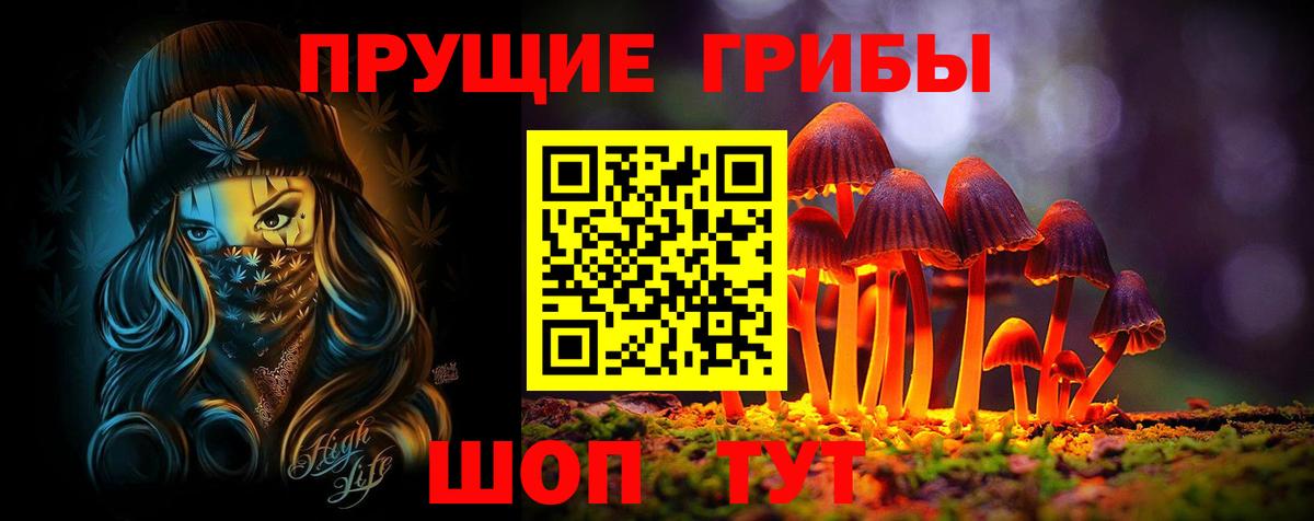 Тольятти  Псилоцибиновые грибы Psilocybe  Вход с VPN 